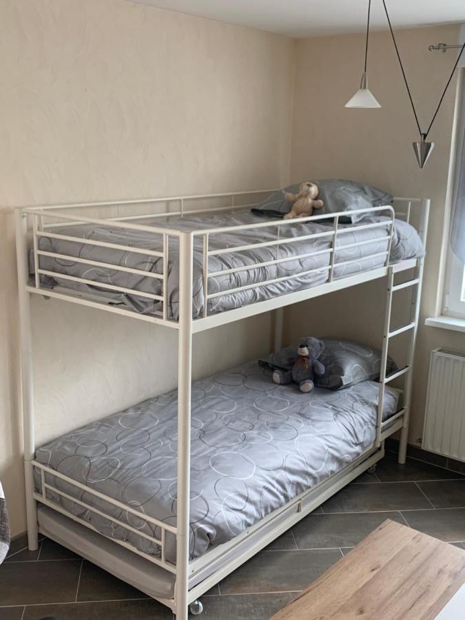 Le Meuble De Naya Apartment Saulcy-sur-Meurthe Екстериор снимка