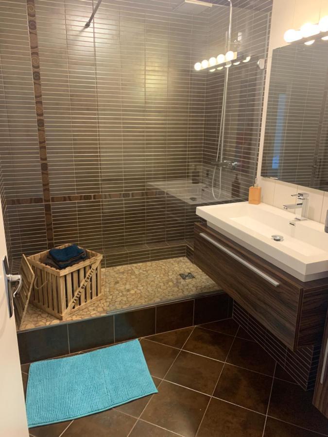 Le Meuble De Naya Apartment Saulcy-sur-Meurthe Екстериор снимка